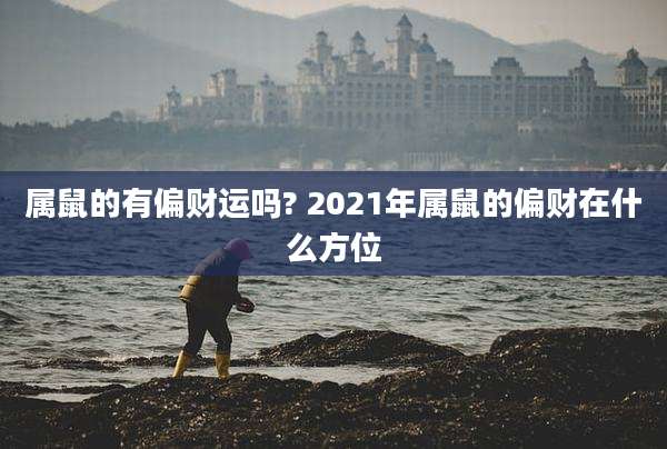 属鼠的有偏财运吗? 2021年属鼠的偏财在什么方位