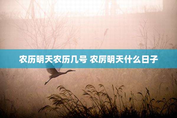 农历明天农历几号 农厉明天什么日子