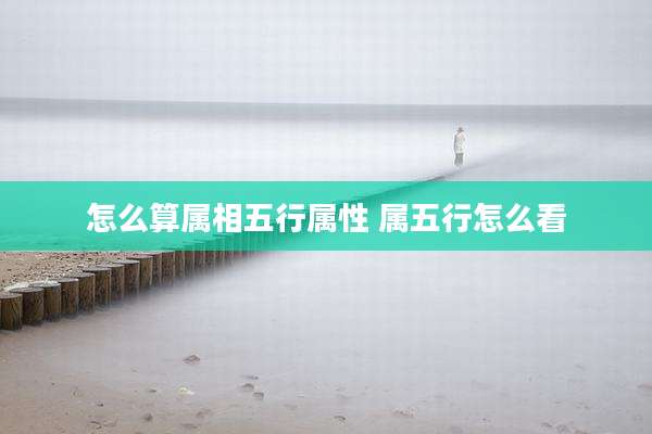 怎么算属相五行属性 属五行怎么看