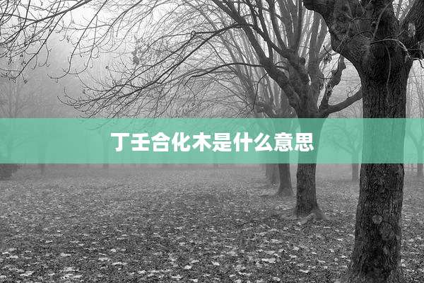 丁壬合化木是什么意思