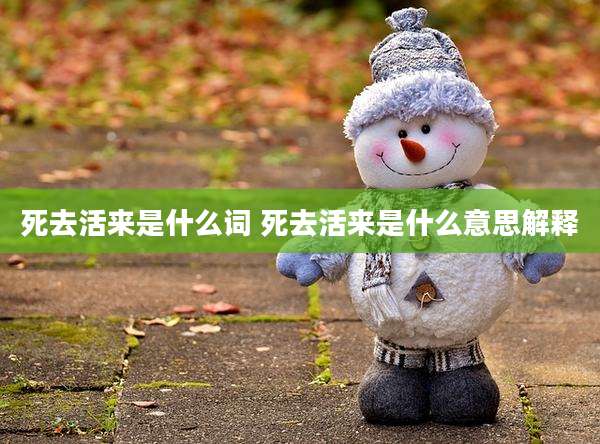 死去活来是什么词 死去活来是什么意思解释