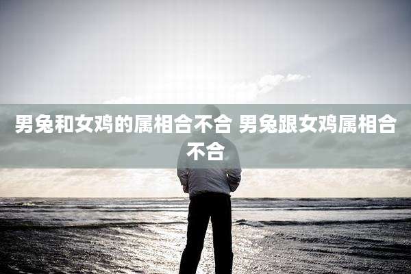 男兔和女鸡的属相合不合 男兔跟女鸡属相合不合
