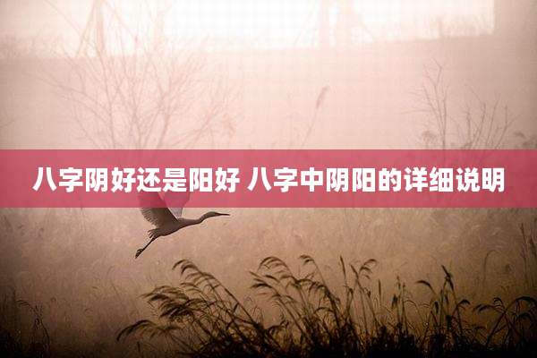 八字阴好还是阳好 八字中阴阳的详细说明
