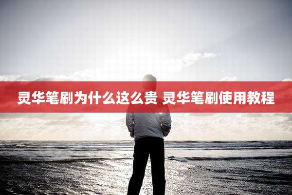 灵华笔刷为什么这么贵 灵华笔刷使用教程