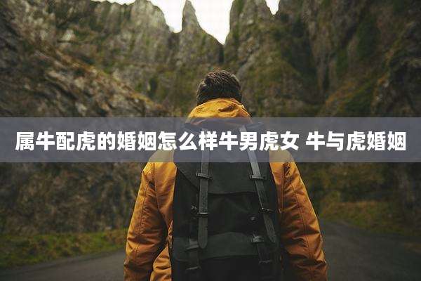 属牛配虎的婚姻怎么样牛男虎女 牛与虎婚姻