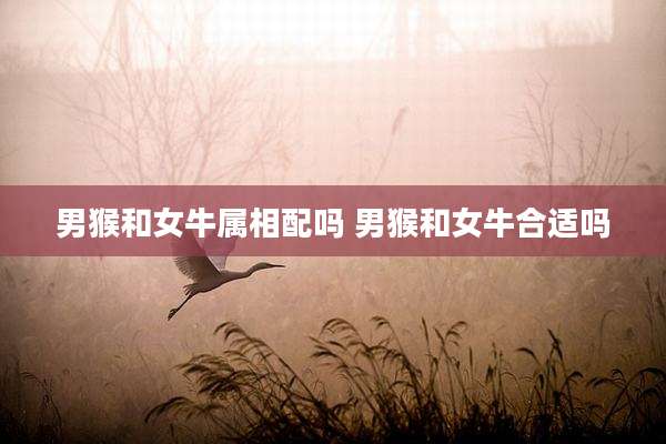 男猴和女牛属相配吗 男猴和女牛合适吗