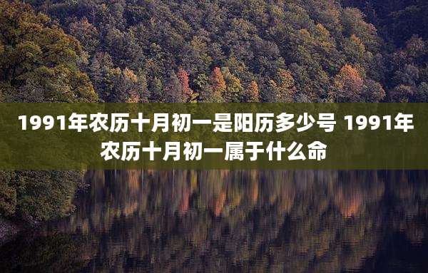 1991年农历十月初一是阳历多少号 1991年农历十月初一属于什么命