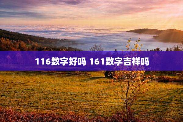 116数字好吗 161数字吉祥吗