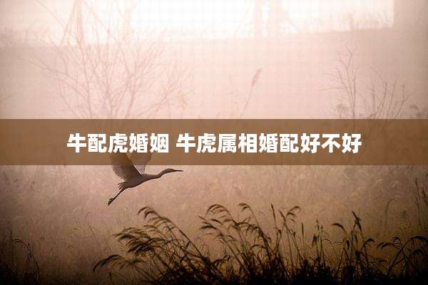 牛配虎婚姻 牛虎属相婚配好不好