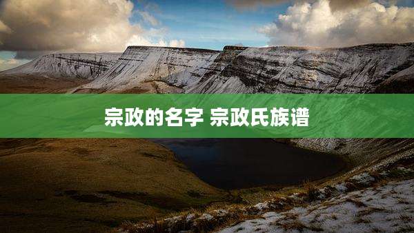 宗政的名字 宗政氏族谱