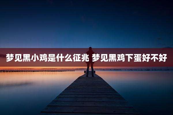 梦见黑小鸡是什么征兆 梦见黑鸡下蛋好不好