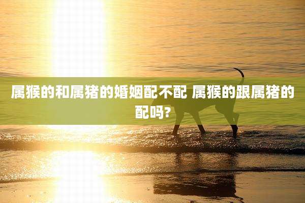 属猴的和属猪的婚姻配不配 属猴的跟属猪的配吗?