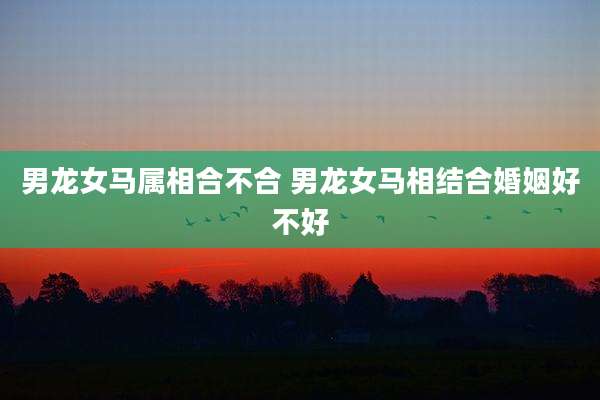 男龙女马属相合不合 男龙女马相结合婚姻好不好