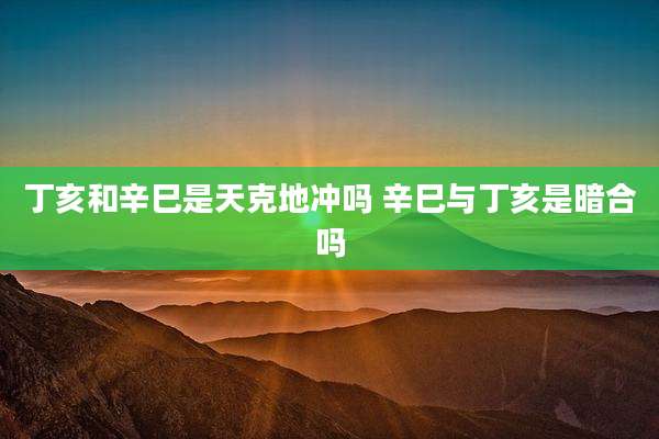 丁亥和辛巳是天克地冲吗 辛巳与丁亥是暗合吗