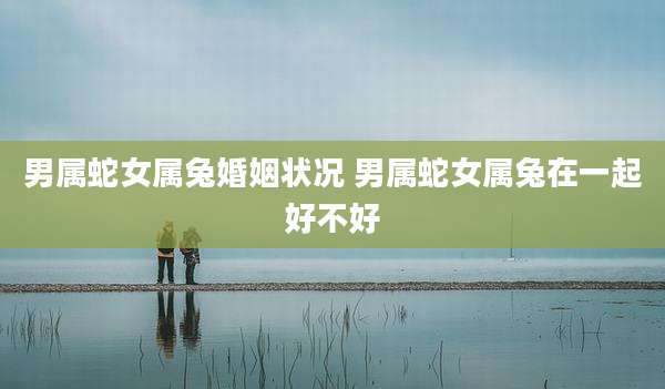 男属蛇女属兔婚姻状况 男属蛇女属兔在一起好不好