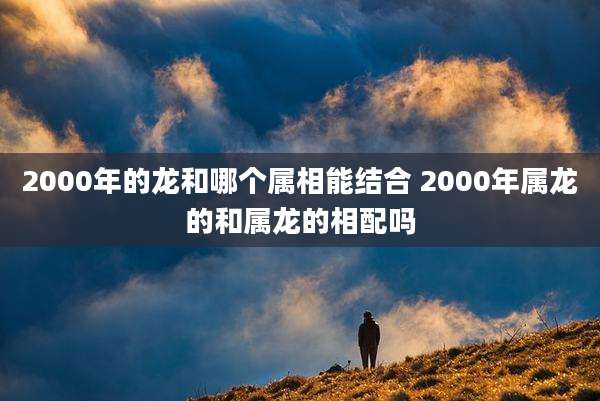 2000年的龙和哪个属相能结合 2000年属龙的和属龙的相配吗