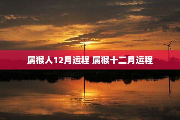 属猴人12月运程 属猴十二月运程