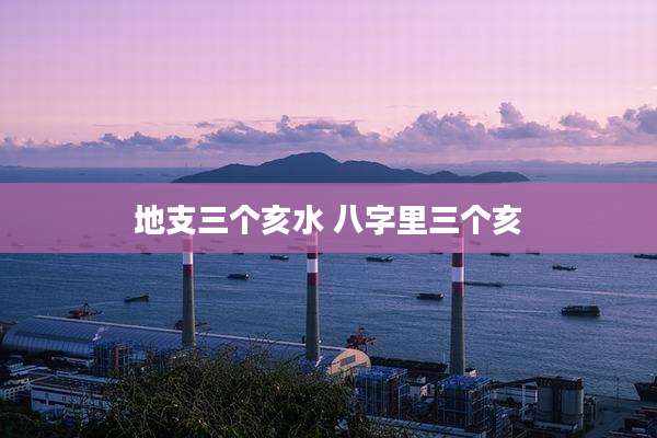 地支三个亥水 八字里三个亥