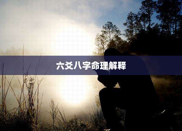六爻八字命理解释