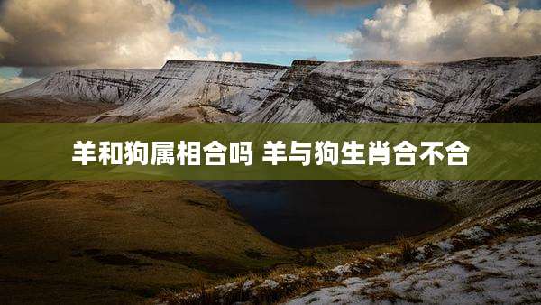羊和狗属相合吗 羊与狗生肖合不合