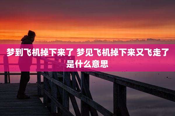 梦到飞机掉下来了 梦见飞机掉下来又飞走了是什么意思