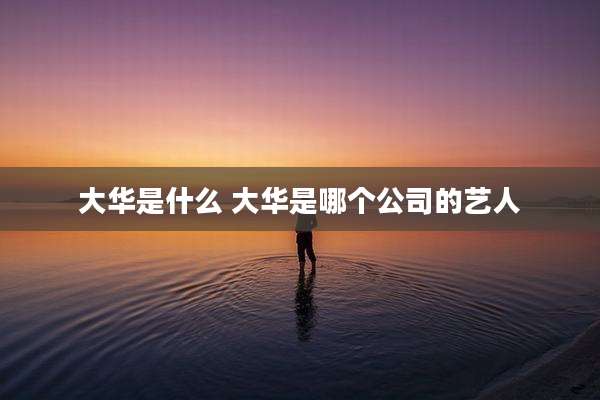 大华是什么 大华是哪个公司的艺人