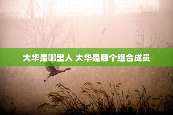 大华是哪里人 大华是哪个组合成员