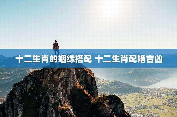十二生肖的姻缘搭配 十二生肖配婚吉凶