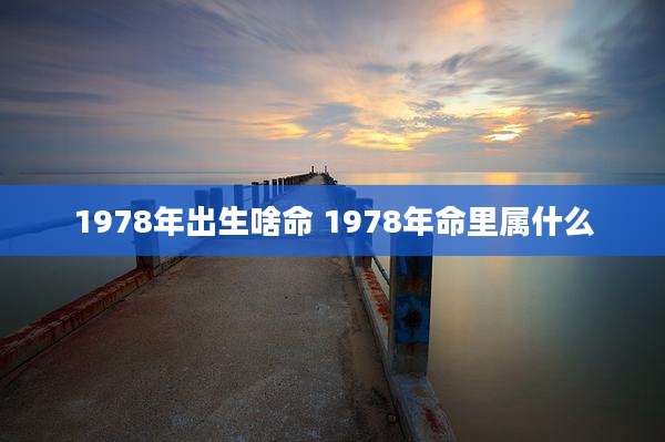 1978年出生啥命 1978年命里属什么
