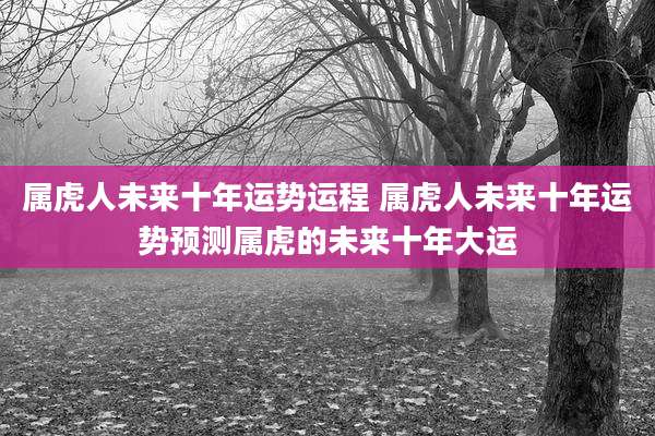 属虎人未来十年运势运程 属虎人未来十年运势预测属虎的未来十年大运