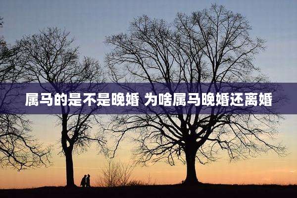 属马的是不是晚婚 为啥属马晚婚还离婚