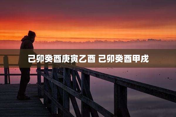 己卯癸酉庚寅乙酉 己卯癸酉甲戌