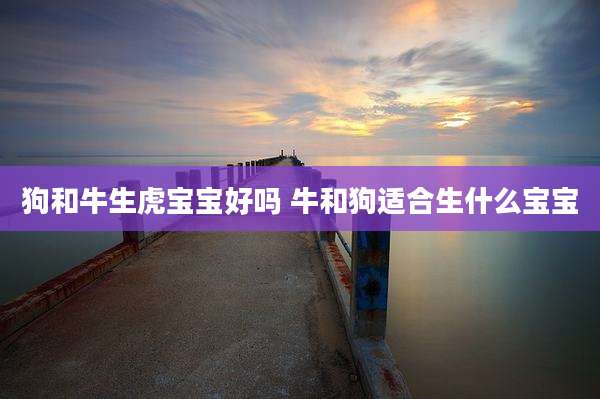 狗和牛生虎宝宝好吗 牛和狗适合生什么宝宝
