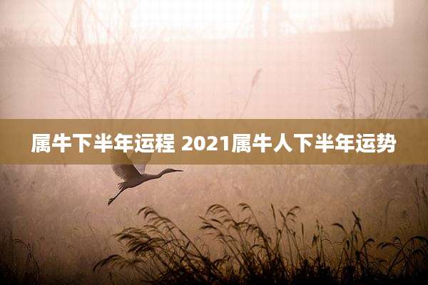 属牛下半年运程 2021属牛人下半年运势