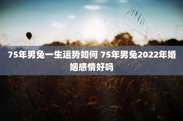 75年男兔一生运势如何 75年男兔2022年婚姻感情好吗
