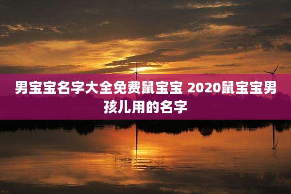 男宝宝名字大全免费鼠宝宝 2020鼠宝宝男孩儿用的名字