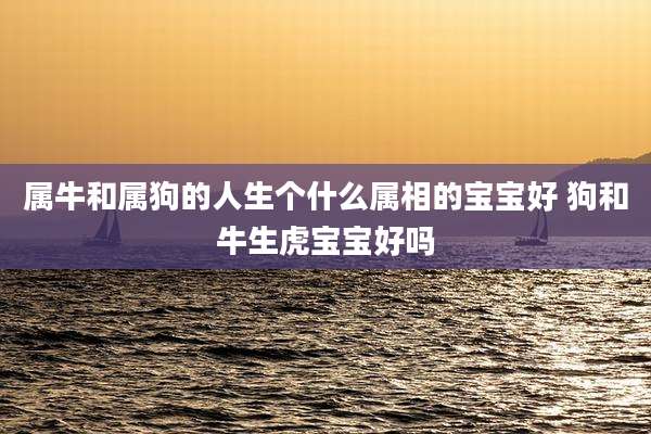 属牛和属狗的人生个什么属相的宝宝好 狗和牛生虎宝宝好吗