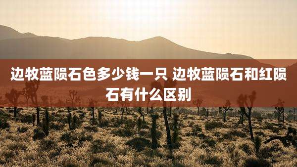 边牧蓝陨石色多少钱一只 边牧蓝陨石和红陨石有什么区别