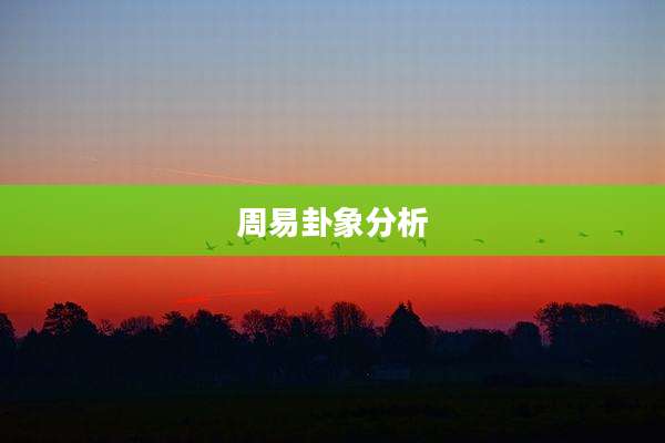 周易卦象分析