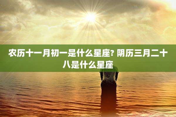农历十一月初一是什么星座? 阴历三月二十八是什么星座