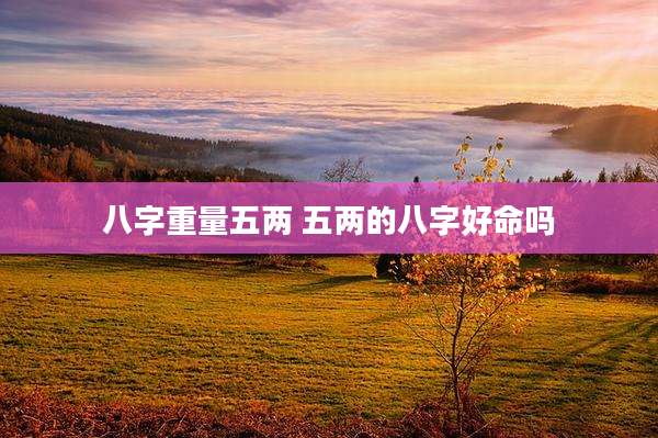 八字重量五两 五两的八字好命吗