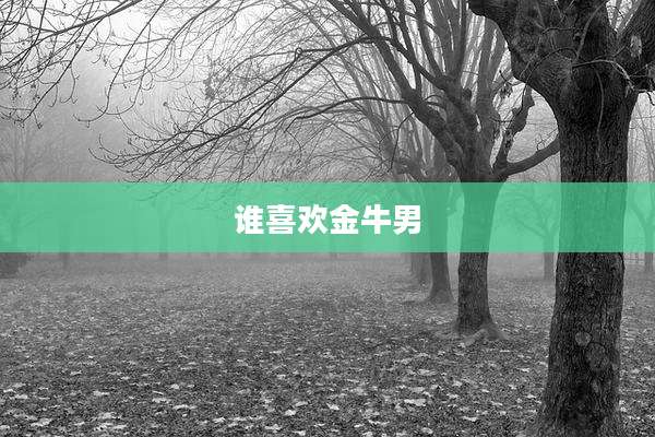谁喜欢金牛男