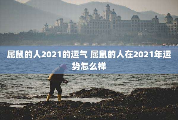 属鼠的人2021的运气 属鼠的人在2021年运势怎么样