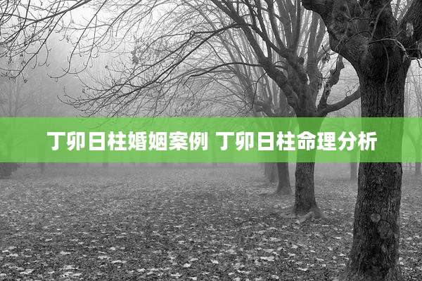 丁卯日柱婚姻案例 丁卯日柱命理分析