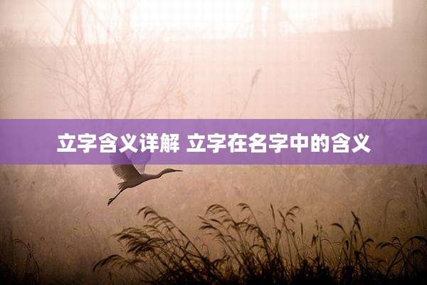 立字含义详解 立字在名字中的含义
