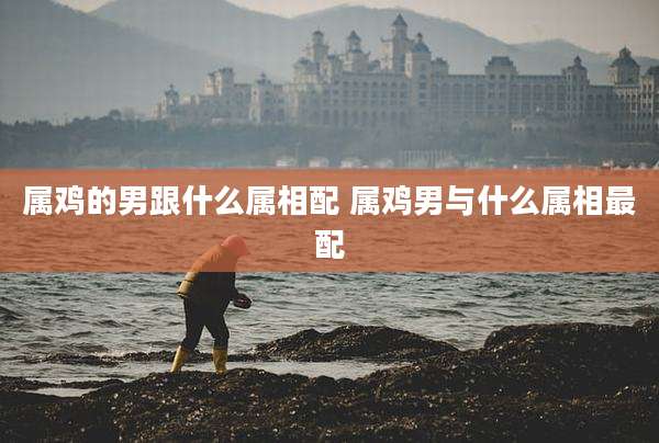 属鸡的男跟什么属相配 属鸡男与什么属相最配