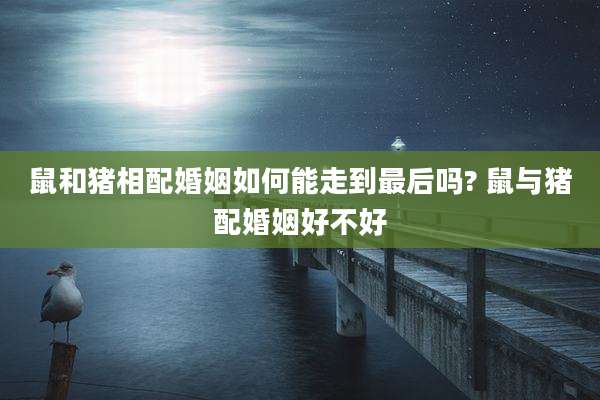 鼠和猪相配婚姻如何能走到最后吗? 鼠与猪配婚姻好不好