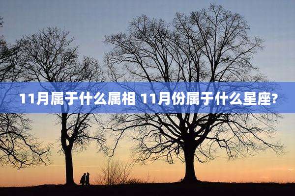 11月属于什么属相 11月份属于什么星座?