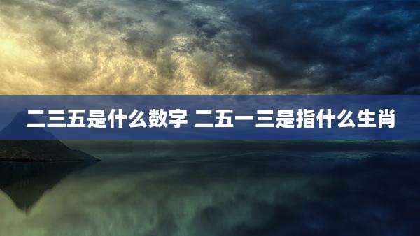 二三五是什么数字 二五一三是指什么生肖