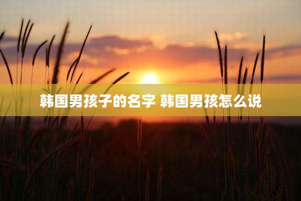 韩国男孩子的名字 韩国男孩怎么说
